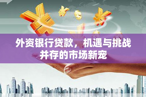 八里外资银行贷款，机遇与挑战并存的市场新宠