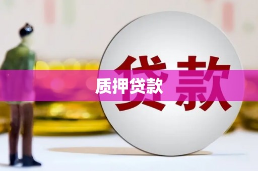 四川质押贷款