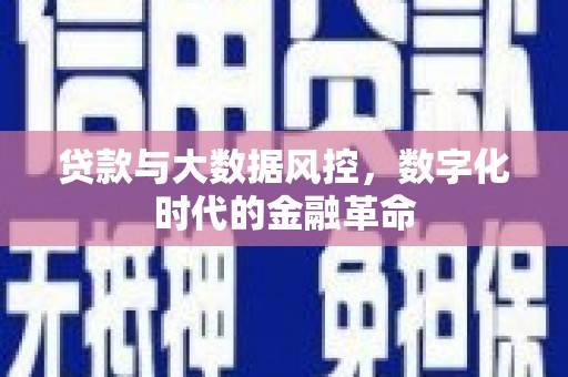 隆子贷款与大数据风控，数字化时代的金融革命