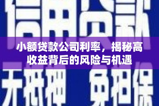 甘谷小额贷款公司利率，揭秘高收益背后的风险与机遇