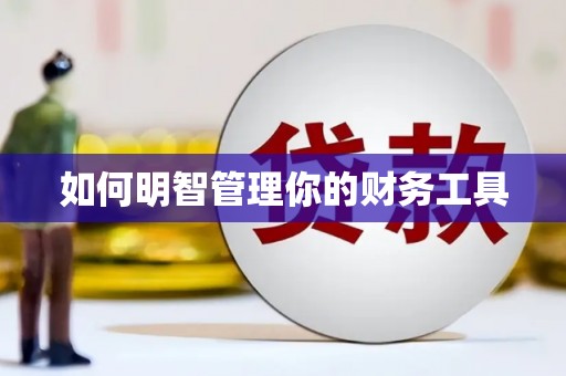 城东如何明智管理你的财务工具
