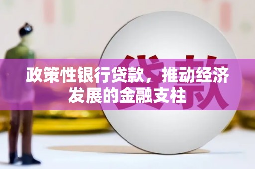 双台子政策性银行贷款，推动经济发展的金融支柱