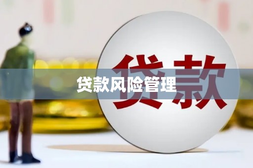 海东贷款风险管理