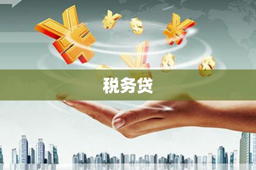 磁县税务贷