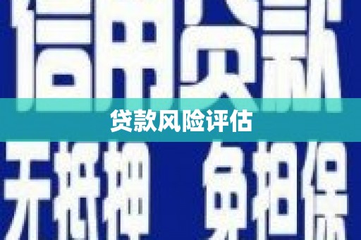 岳塘贷款风险评估