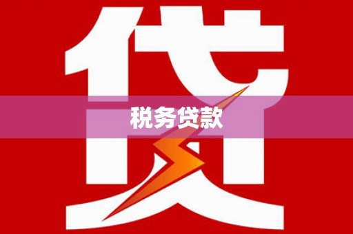 赫山税务贷款