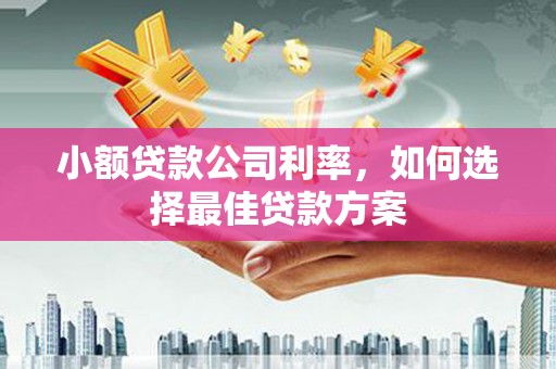 猇亭小额贷款公司利率，如何选择最佳贷款方案