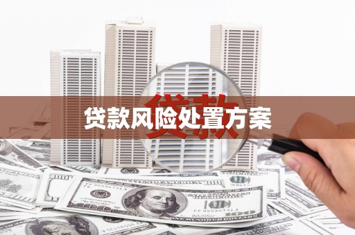 玛家贷款风险处置方案