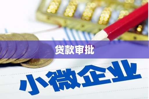 大余贷款审批
