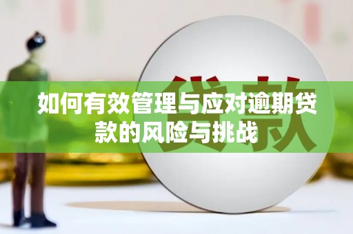 静宁如何有效管理与应对逾期贷款的风险与挑战