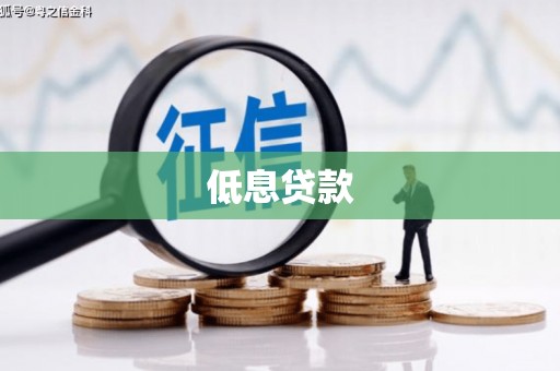 马边低息贷款