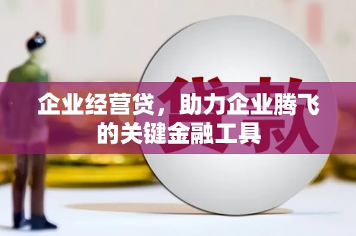 平陆企业经营贷，助力企业腾飞的关键金融工具