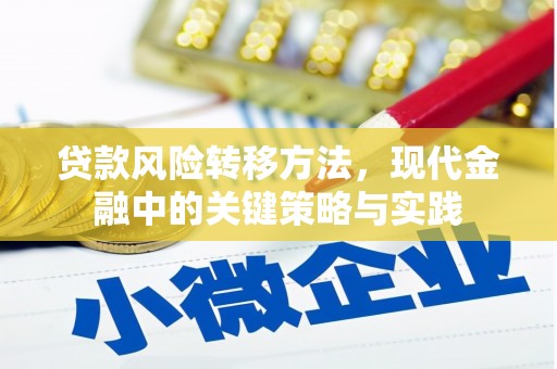 田林贷款风险转移方法，现代金融中的关键策略与实践