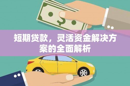 蒙阴短期贷款，灵活资金解决方案的全面解析