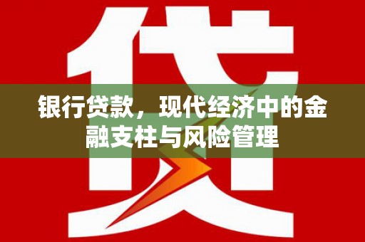 久治银行贷款，现代经济中的金融支柱与风险管理