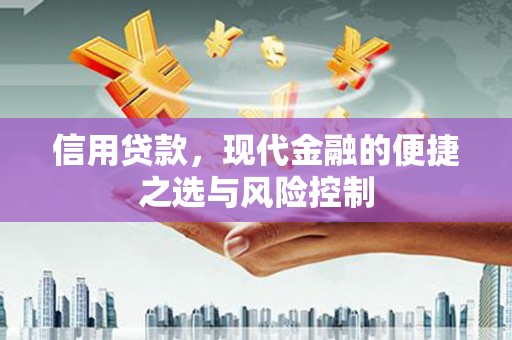 潜江信用贷款，现代金融的便捷之选与风险控制