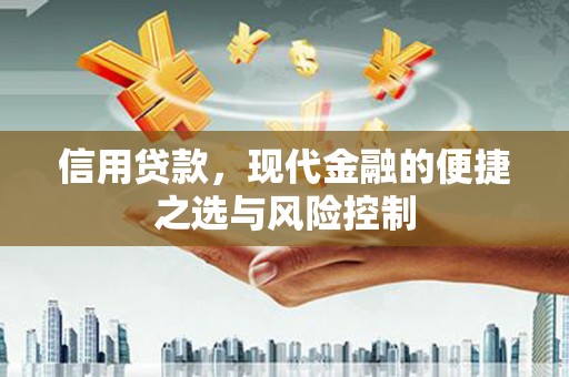 曲麻莱信用贷款，现代金融的便捷之选与风险控制