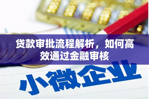 新园贷款审批流程解析，如何高效通过金融审核