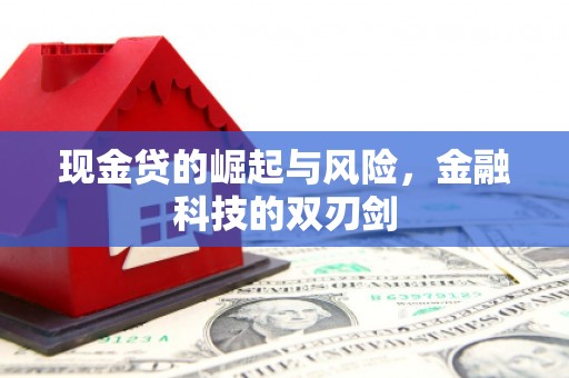 永康现金贷的崛起与风险，金融科技的双刃剑