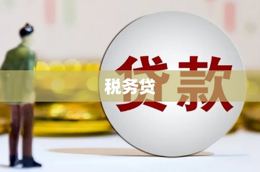 宜丰税务贷