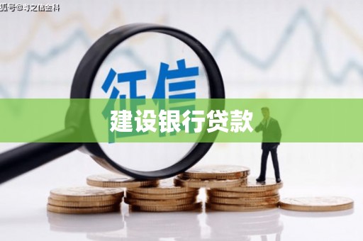 成武建设银行贷款