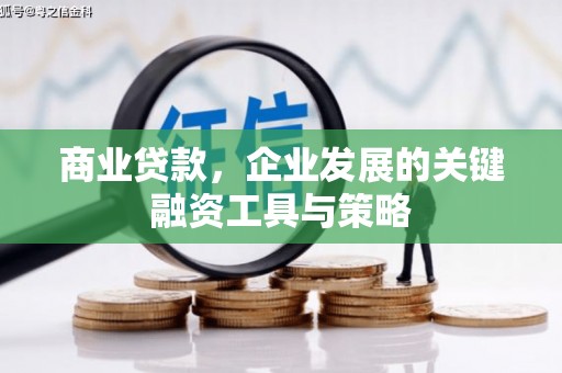 察雅商业贷款，企业发展的关键融资工具与策略