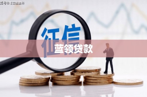 盐津蓝领贷款