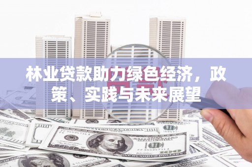 洪梅林业贷款助力绿色经济，政策、实践与未来展望