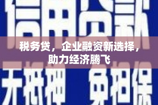 芦洲税务贷，企业融资新选择，助力经济腾飞