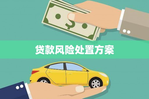 西昌贷款风险处置方案