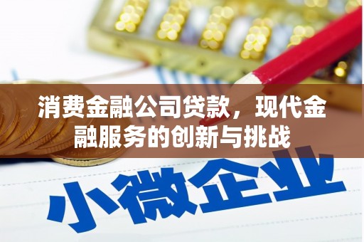 西海岸消费金融公司贷款，现代金融服务的创新与挑战