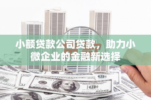 新蔡小额贷款公司贷款，助力小微企业的金融新选择