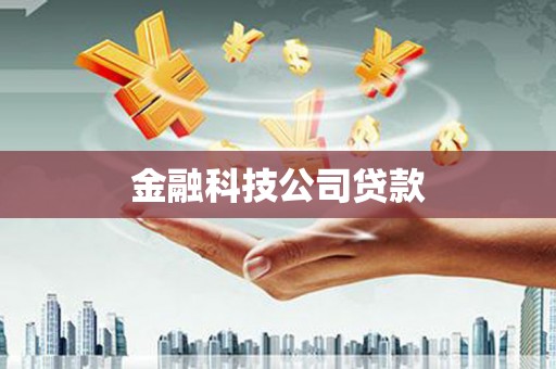 红原金融科技公司贷款