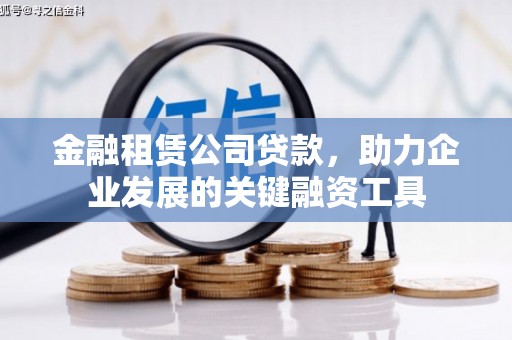 扶绥金融租赁公司贷款，助力企业发展的关键融资工具