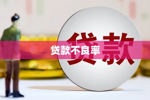 泰山贷款不良率