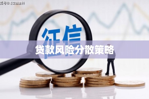 临高贷款风险分散策略