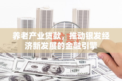 云岩养老产业贷款，推动银发经济新发展的金融引擎