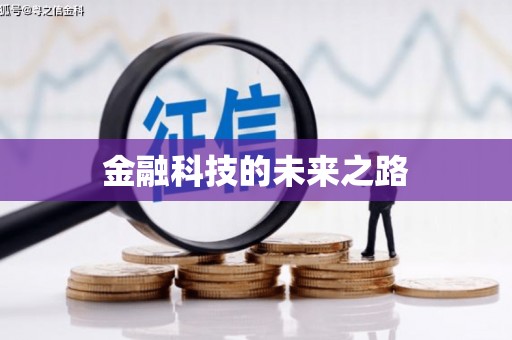 天宁金融科技的未来之路