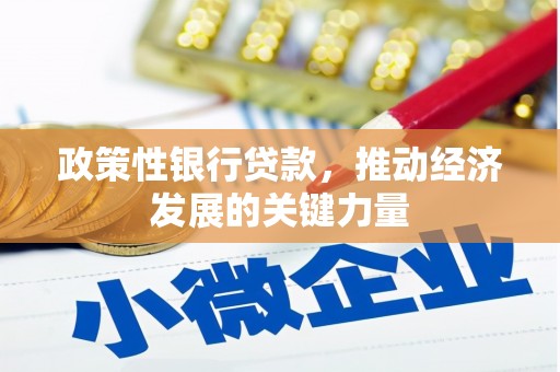 留坝政策性银行贷款，推动经济发展的关键力量