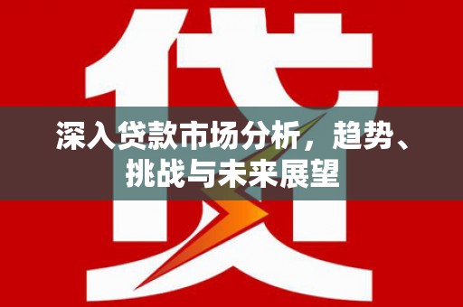 修武深入贷款市场分析，趋势、挑战与未来展望