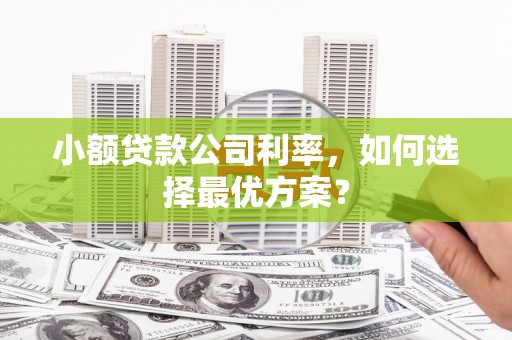 沙坡头小额贷款公司利率，如何选择最优方案？