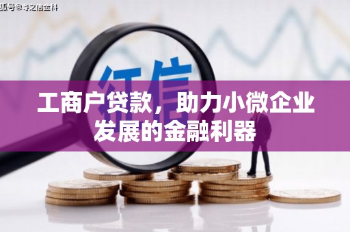 漳平工商户贷款，助力小微企业发展的金融利器