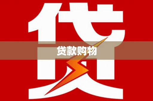 善化贷款购物