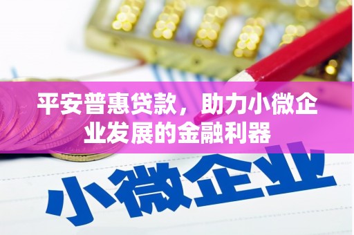 抚远平安普惠贷款，助力小微企业发展的金融利器