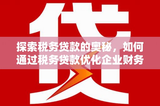 泾川探索税务贷款的奥秘，如何通过税务贷款优化企业财务