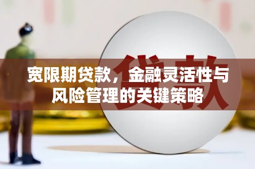 望牛墩宽限期贷款，金融灵活性与风险管理的关键策略