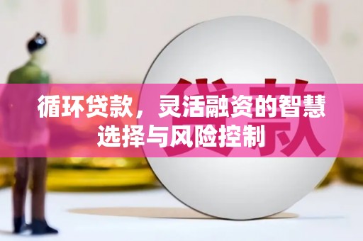 周宁循环贷款，灵活融资的智慧选择与风险控制