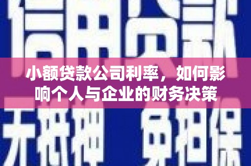 东乡族小额贷款公司利率，如何影响个人与企业的财务决策