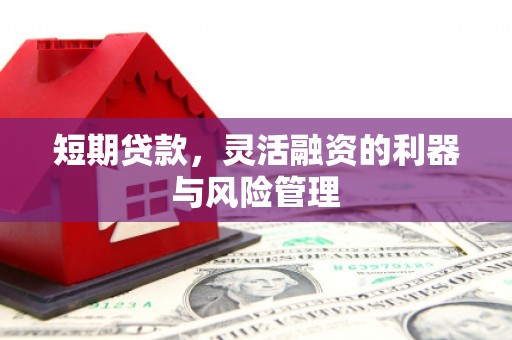 丹寨短期贷款，灵活融资的利器与风险管理