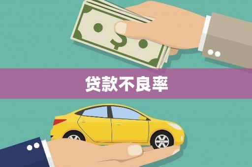 桦川贷款不良率